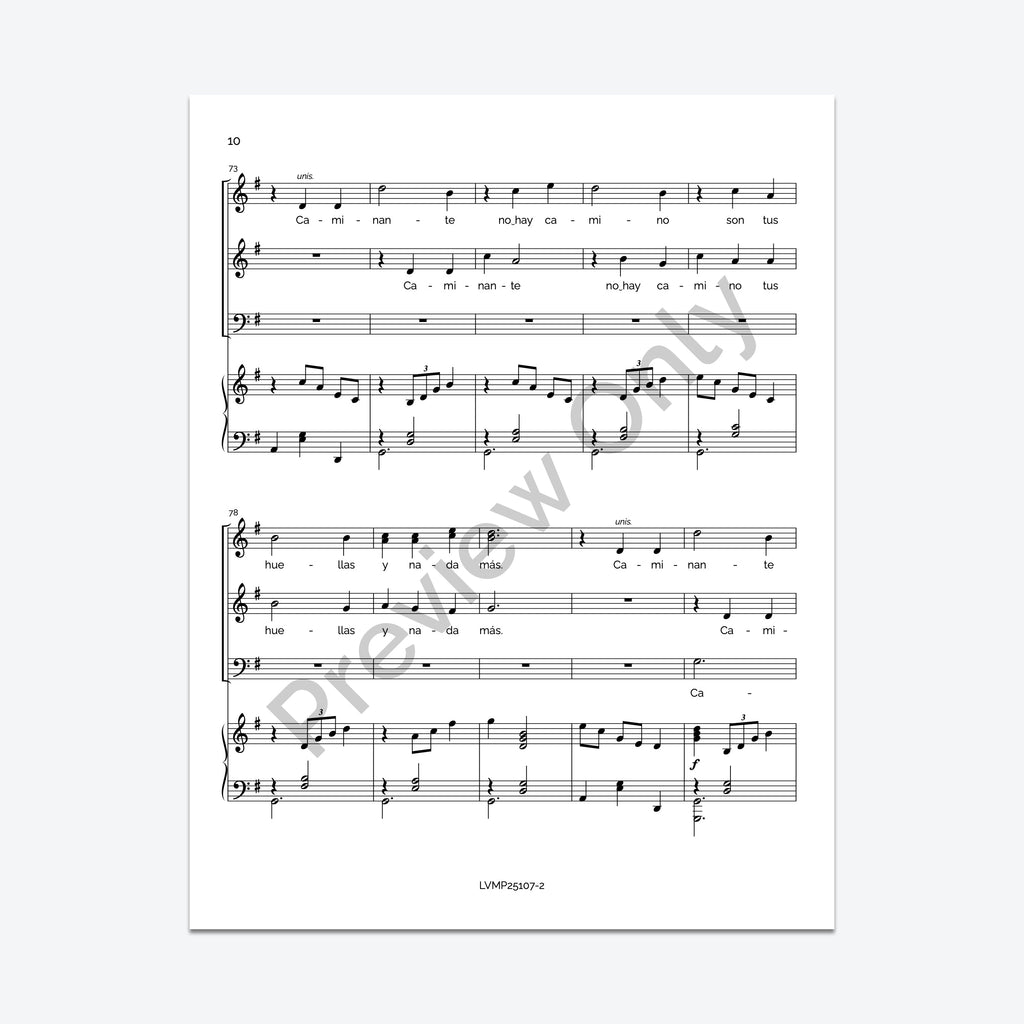 Caminante, no hay camino