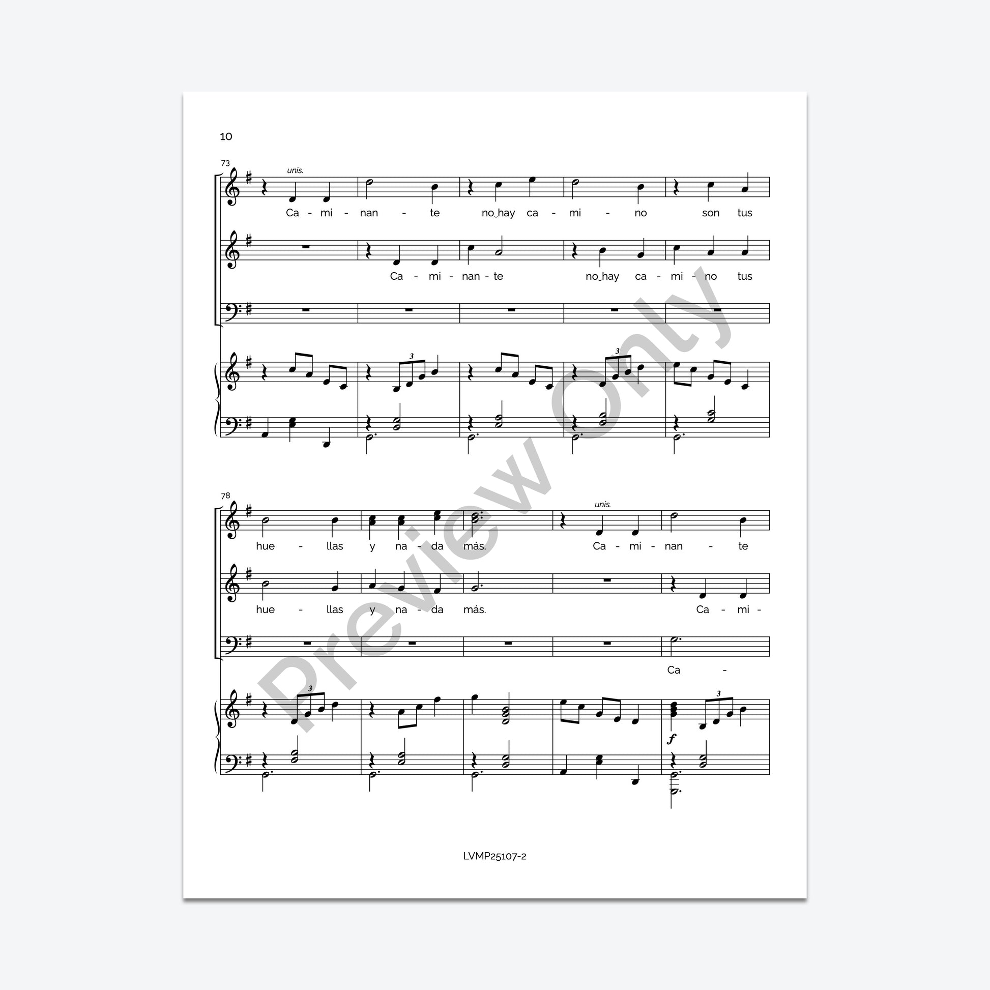 Caminante, no hay camino