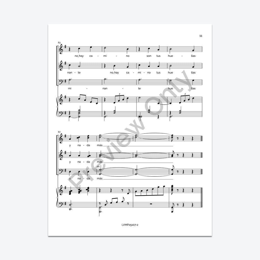 Caminante, no hay camino