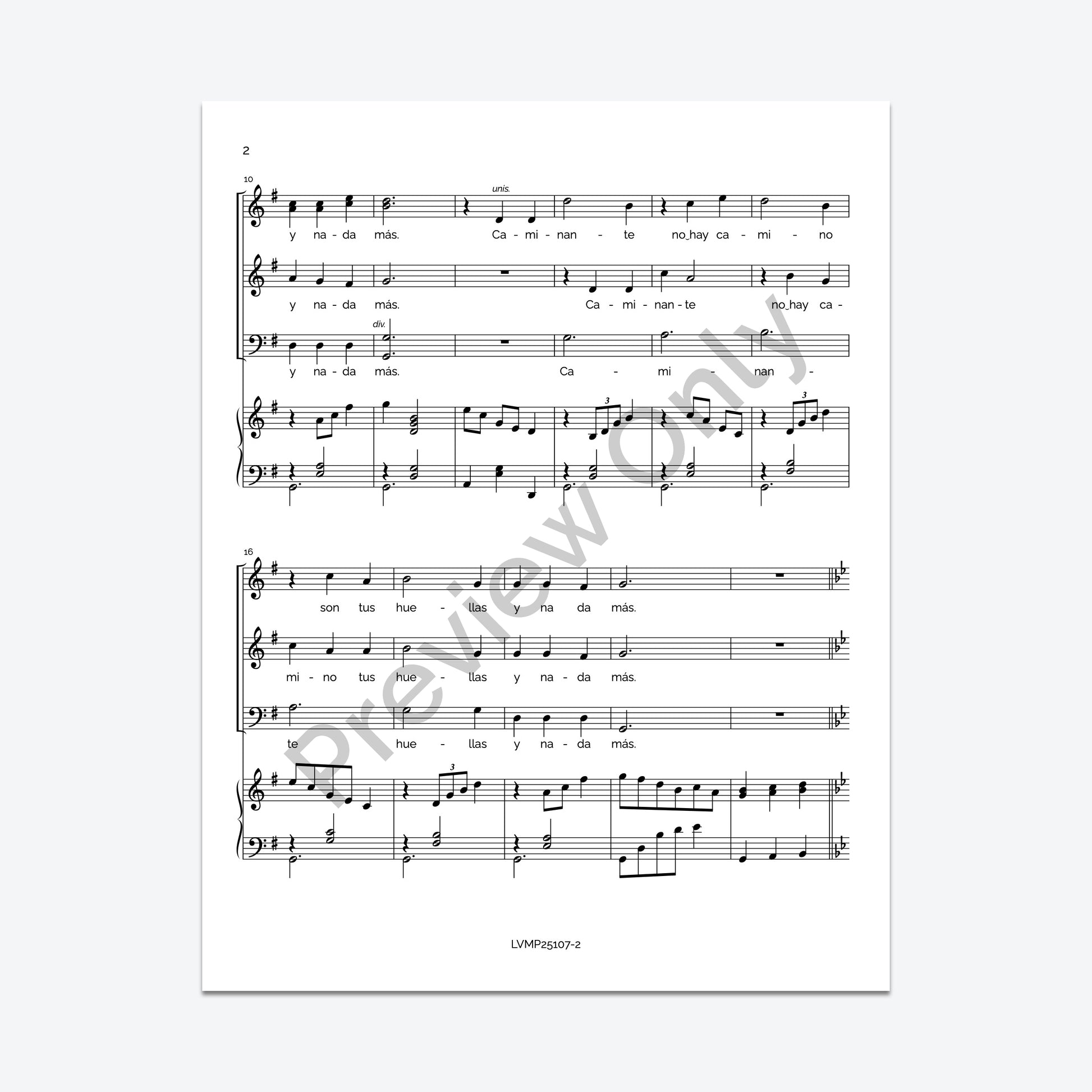 Caminante, no hay camino