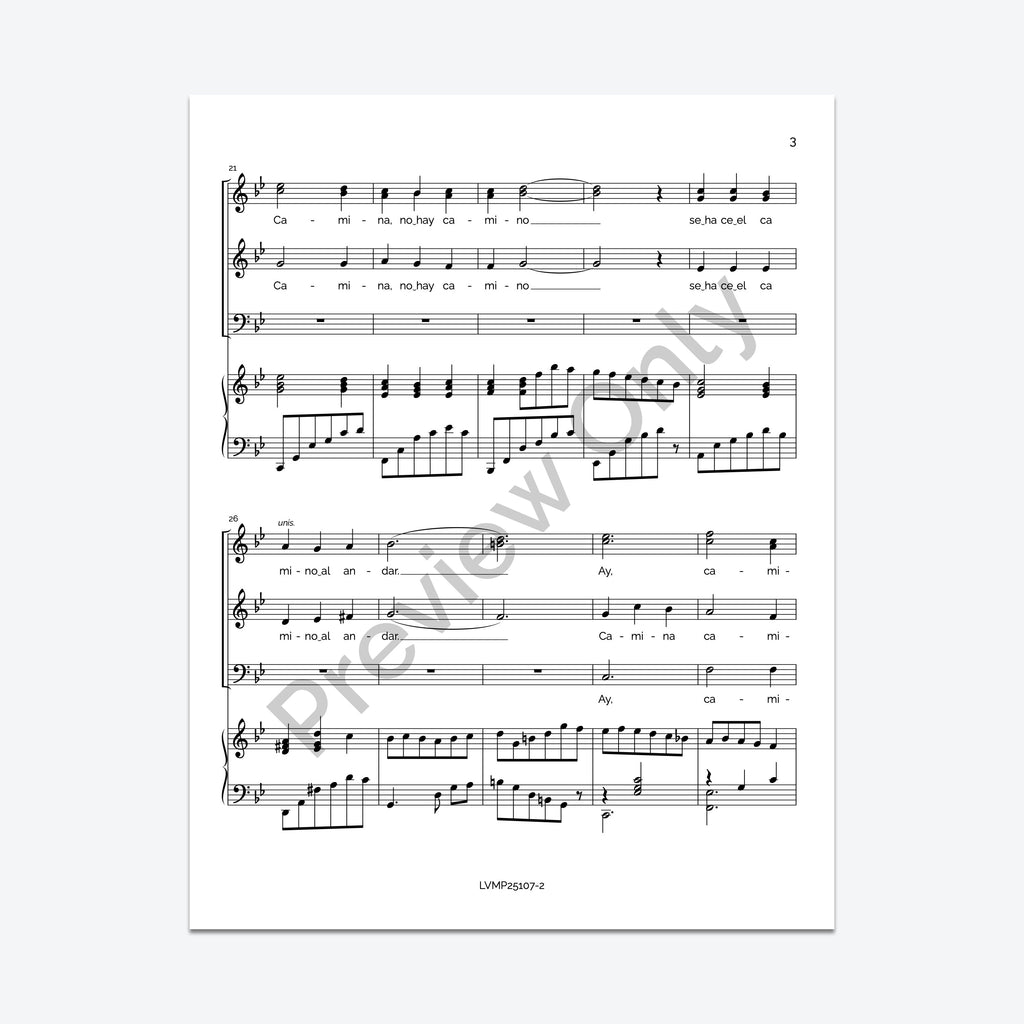 Caminante, no hay camino