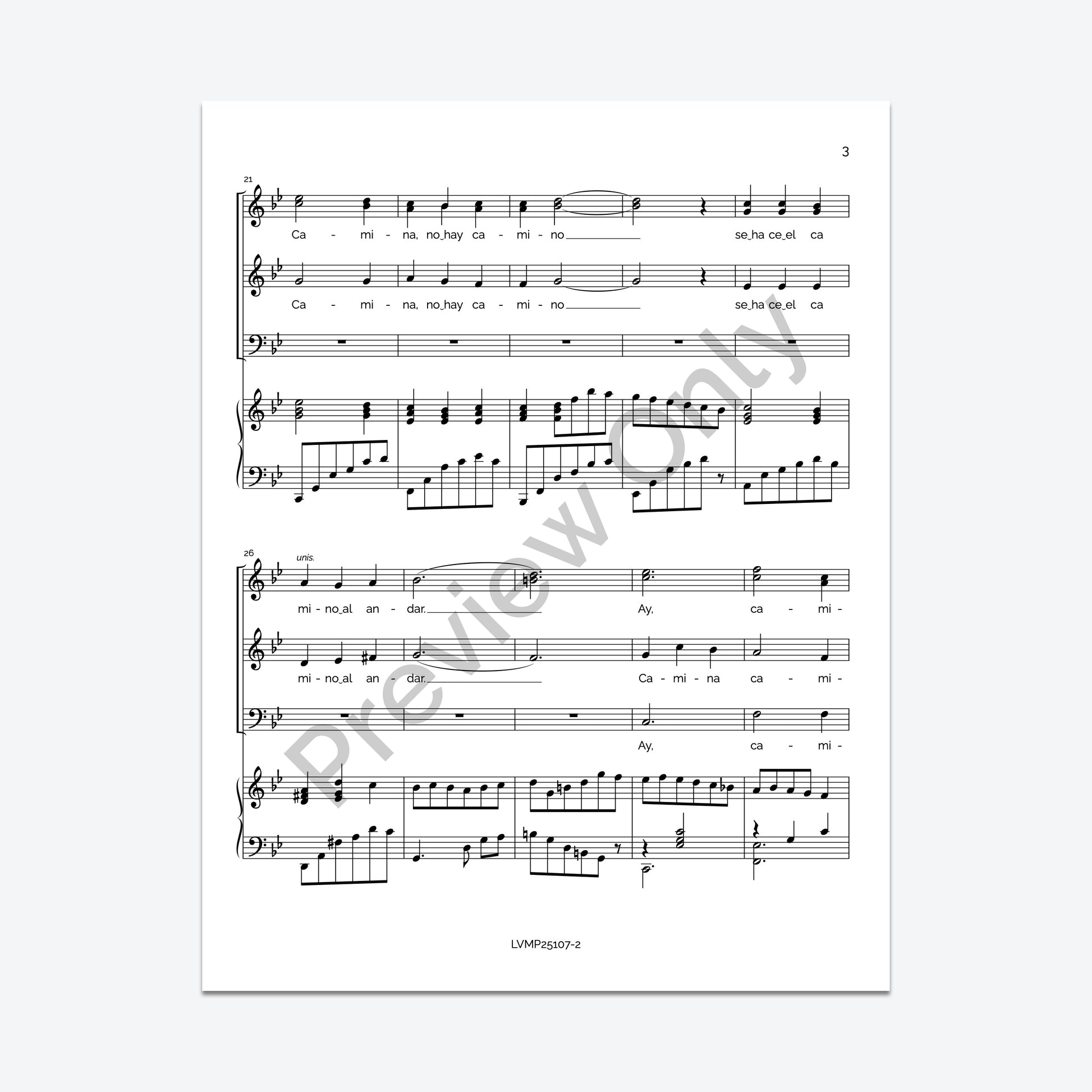 Caminante, no hay camino