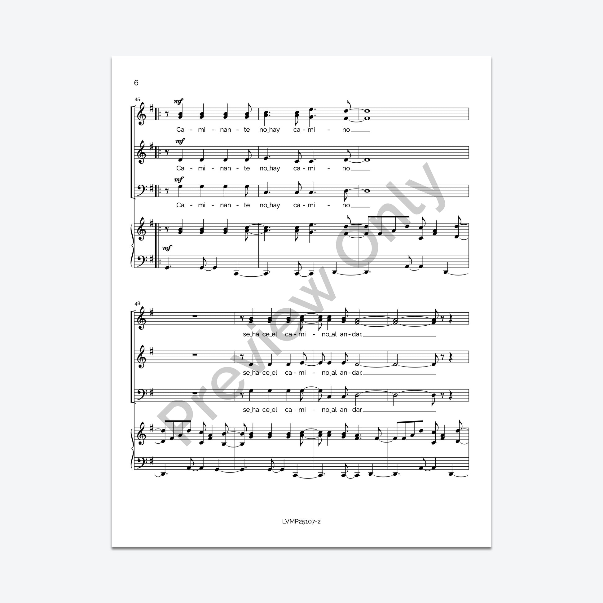 Caminante, no hay camino