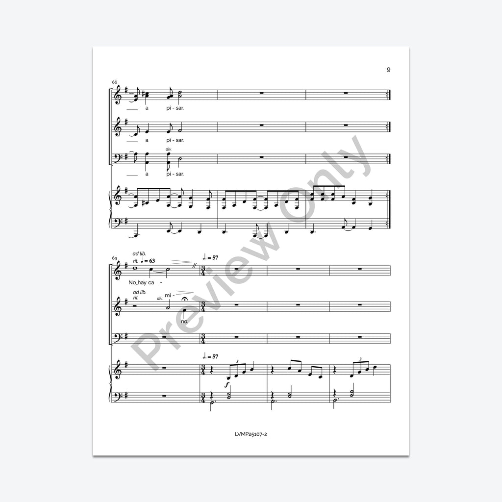 Caminante, no hay camino