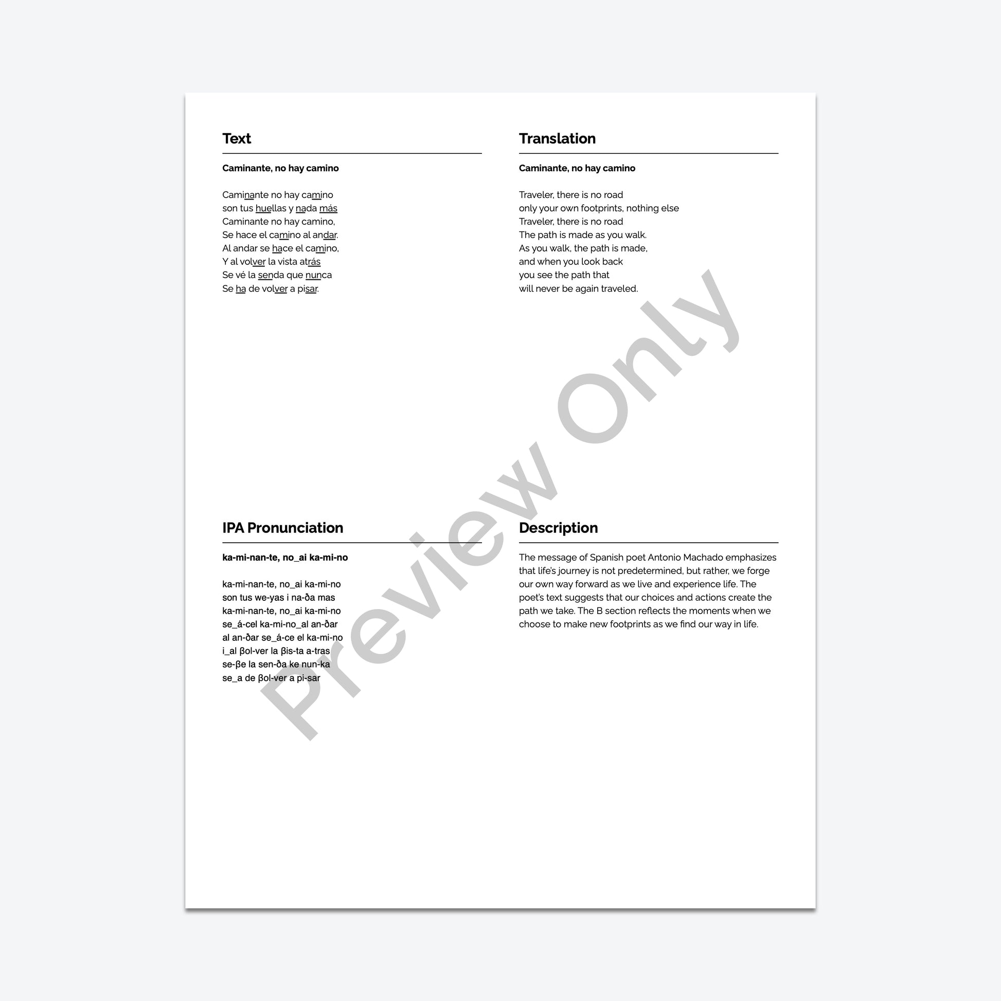 Caminante, no hay camino