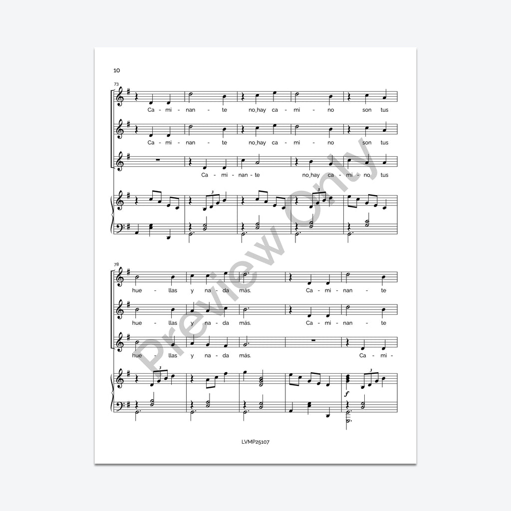 Caminante, no hay camino