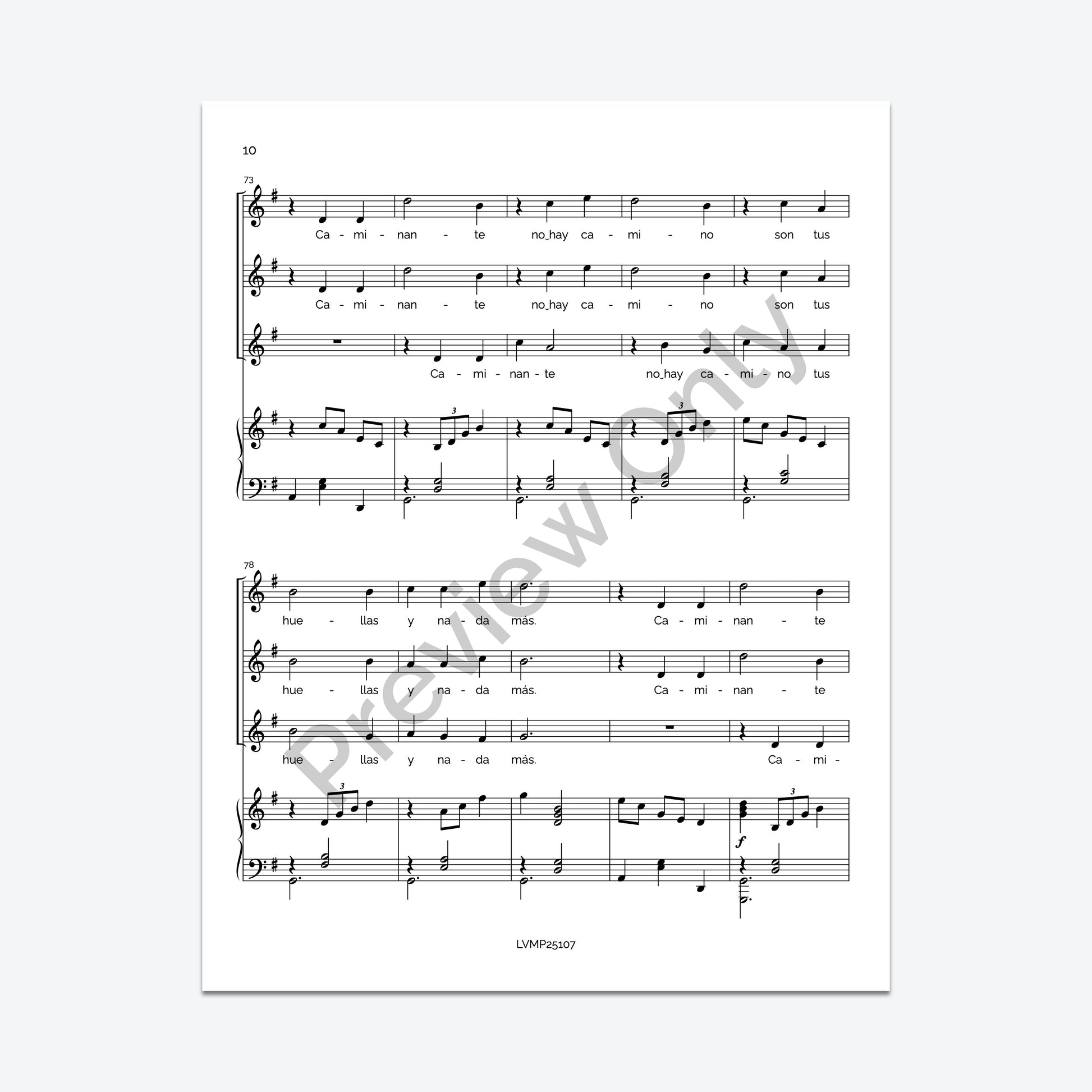 Caminante, no hay camino