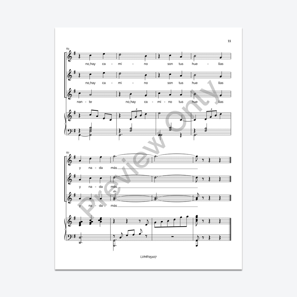 Caminante, no hay camino