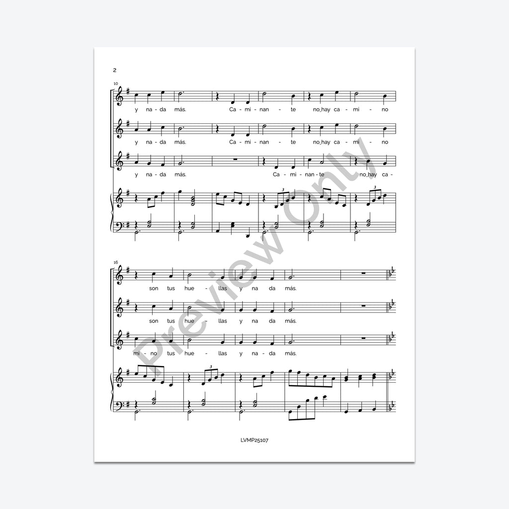 Caminante, no hay camino