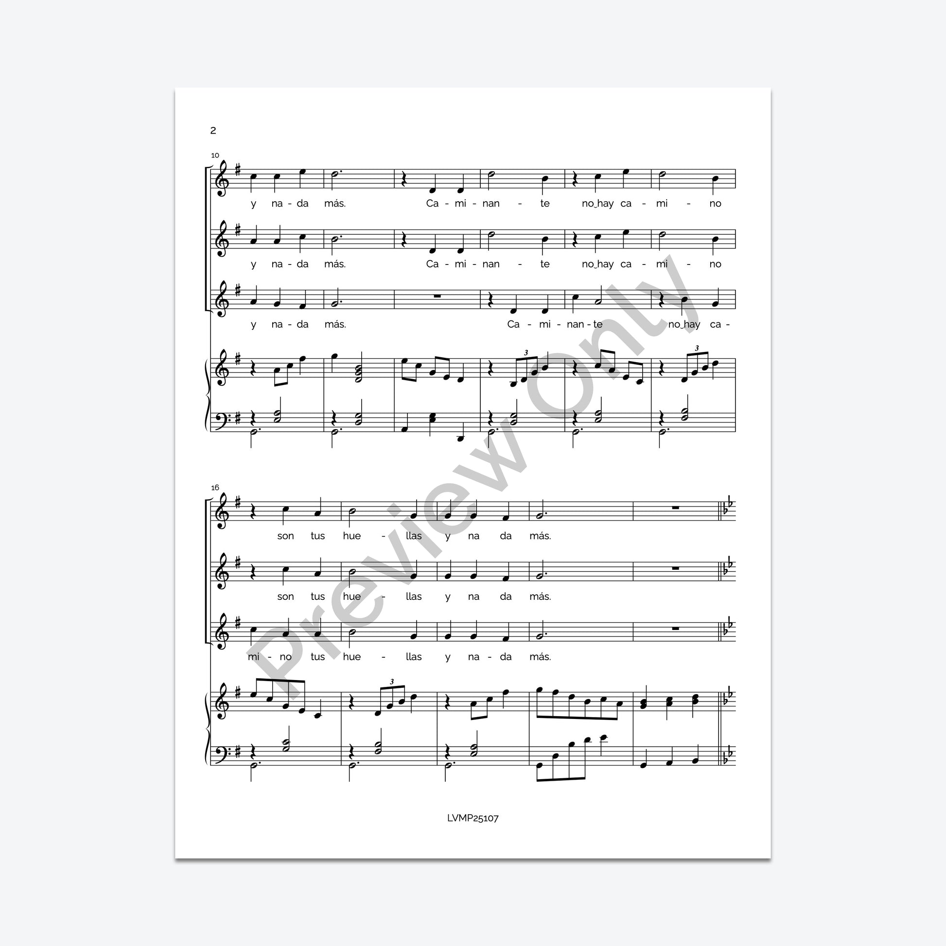 Caminante, no hay camino