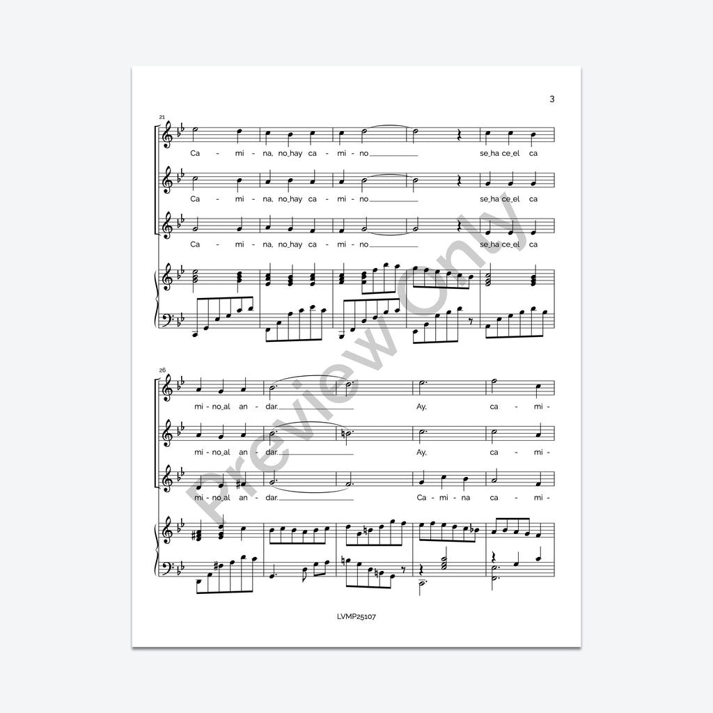 Caminante, no hay camino