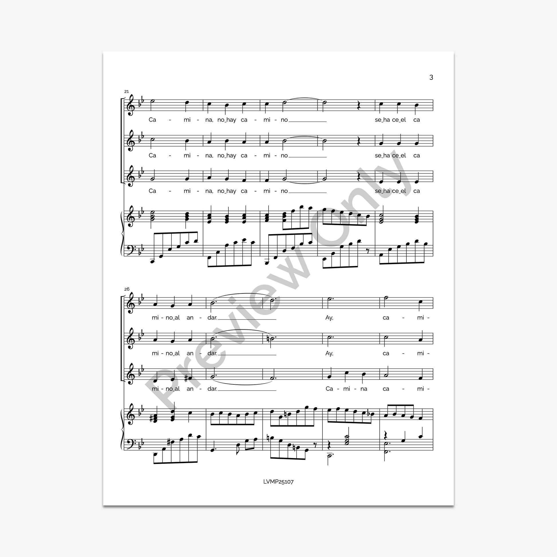 Caminante, no hay camino