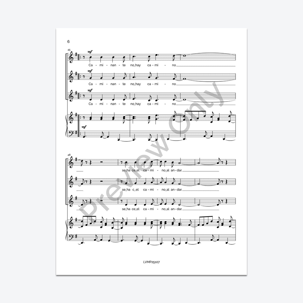 Caminante, no hay camino