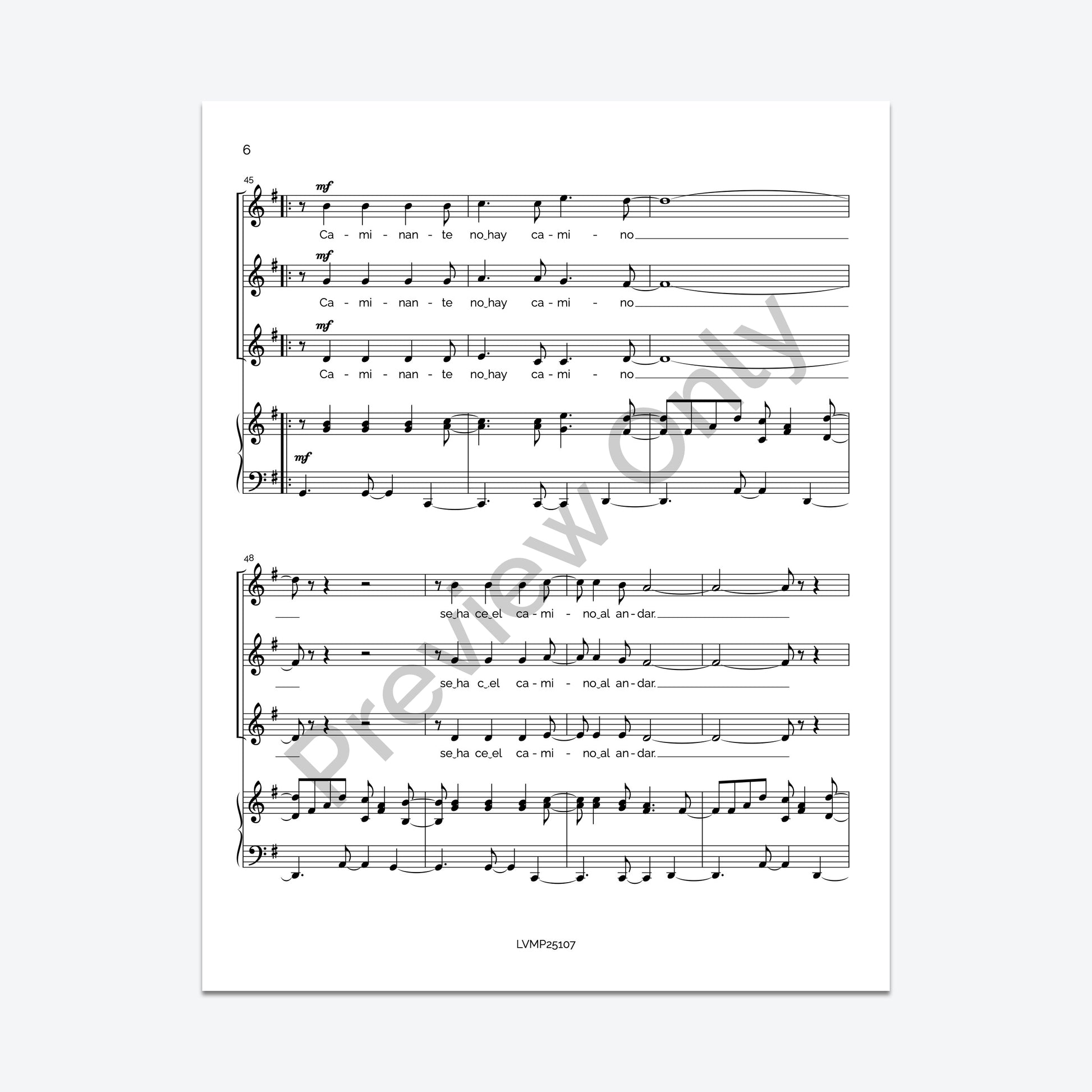 Caminante, no hay camino