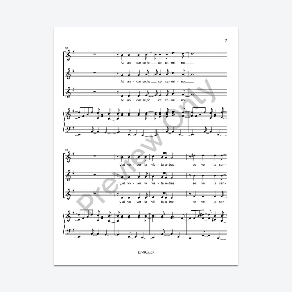 Caminante, no hay camino