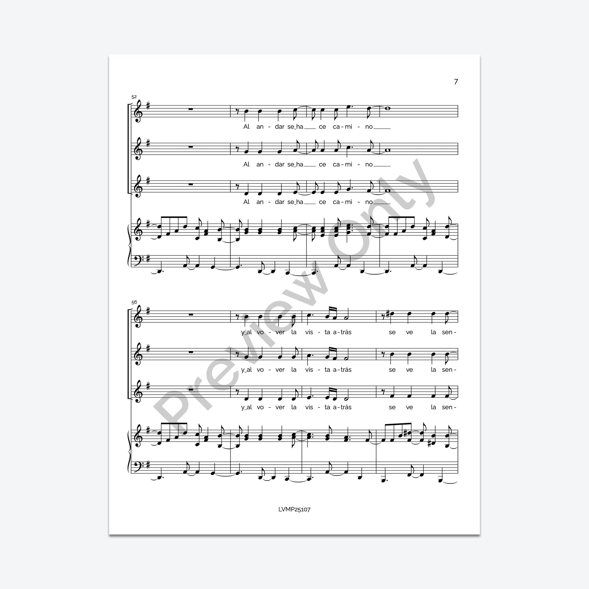 Caminante, no hay camino