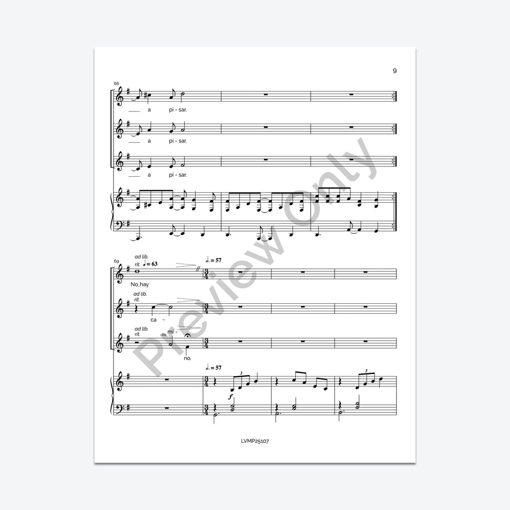 Caminante, no hay camino