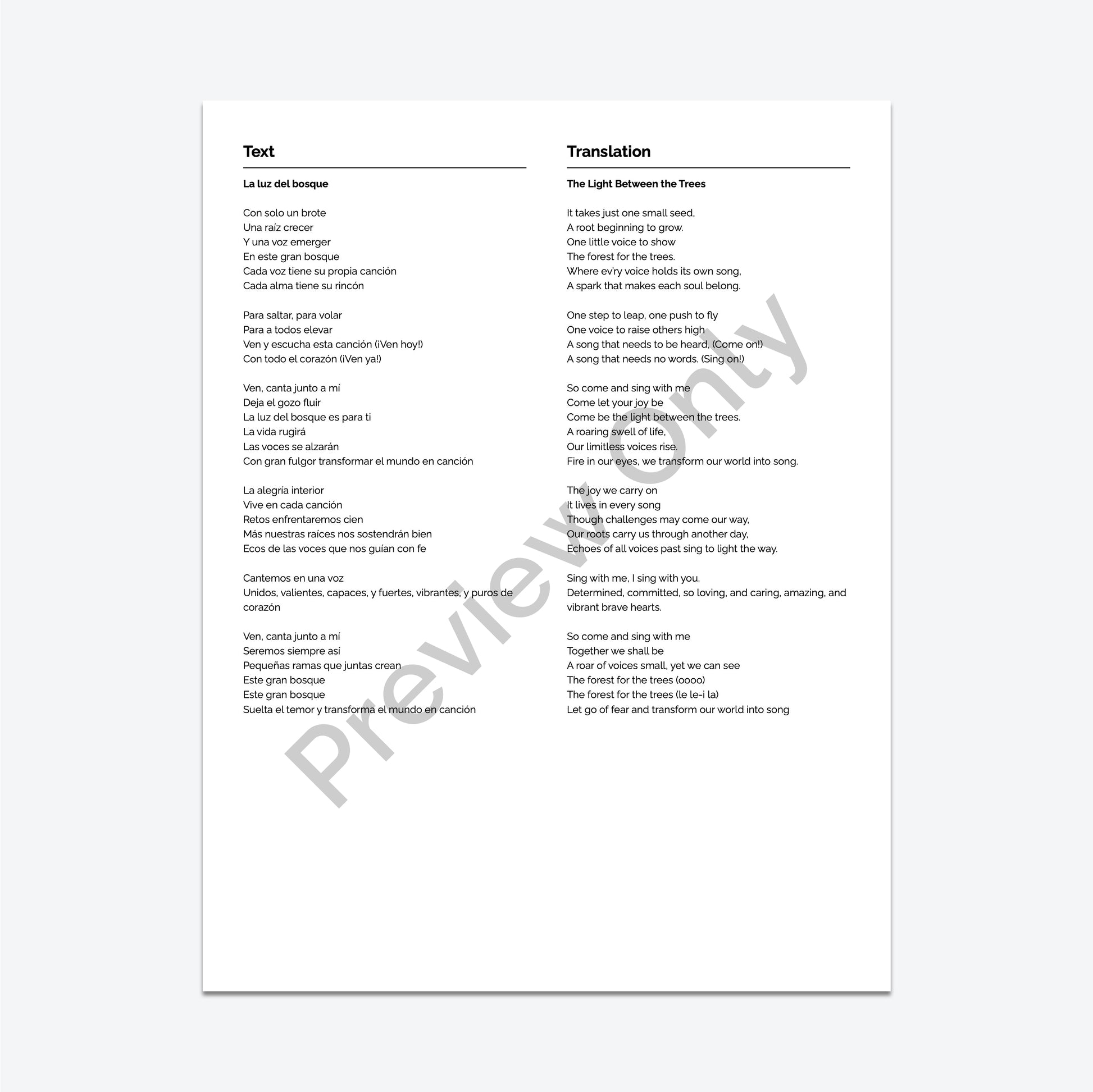 The Light Between The Trees